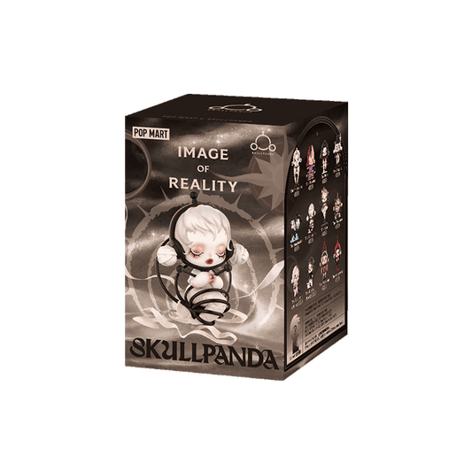 SKULLPANDA Image of Reality Series Blind Box